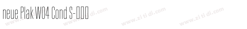 neue Plak W04 Cond S字体转换